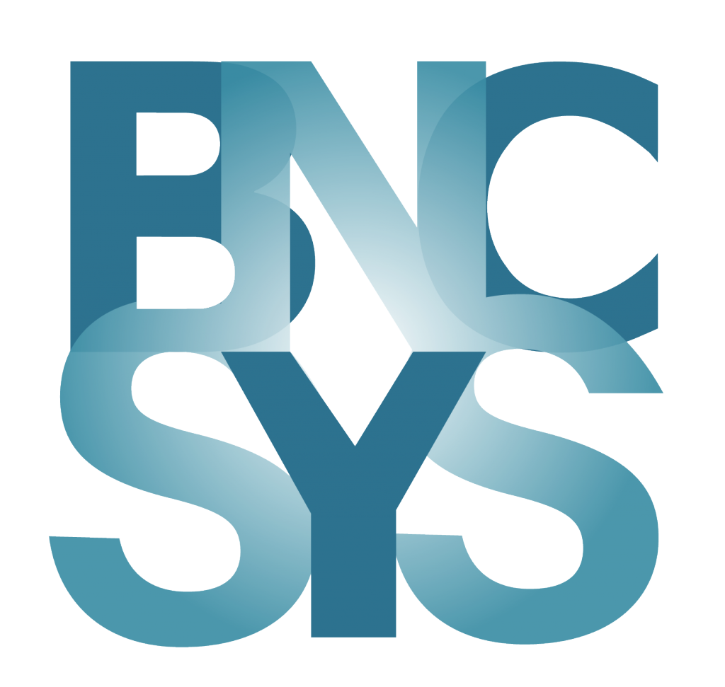 BNCSYS service informatique pour les entreprises